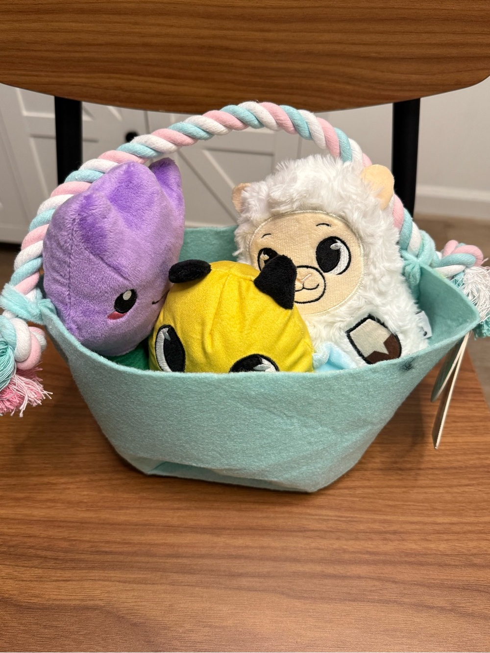 NWT Kohl's WOOF Dog Easter Basket Toy Set 4-Pack Mint Squeaker Rope Handle